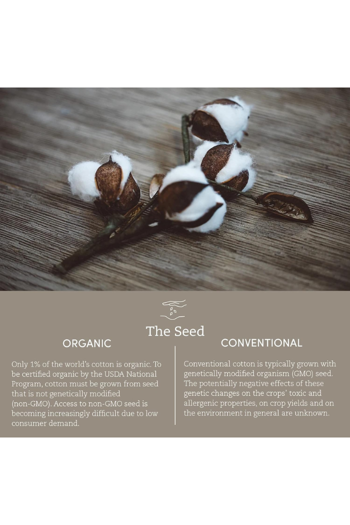 Coyuchi Brushed Flannel Flat King