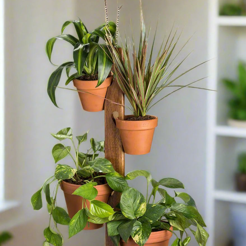 6 Pot Hanging Plant Holder - 3 piece set