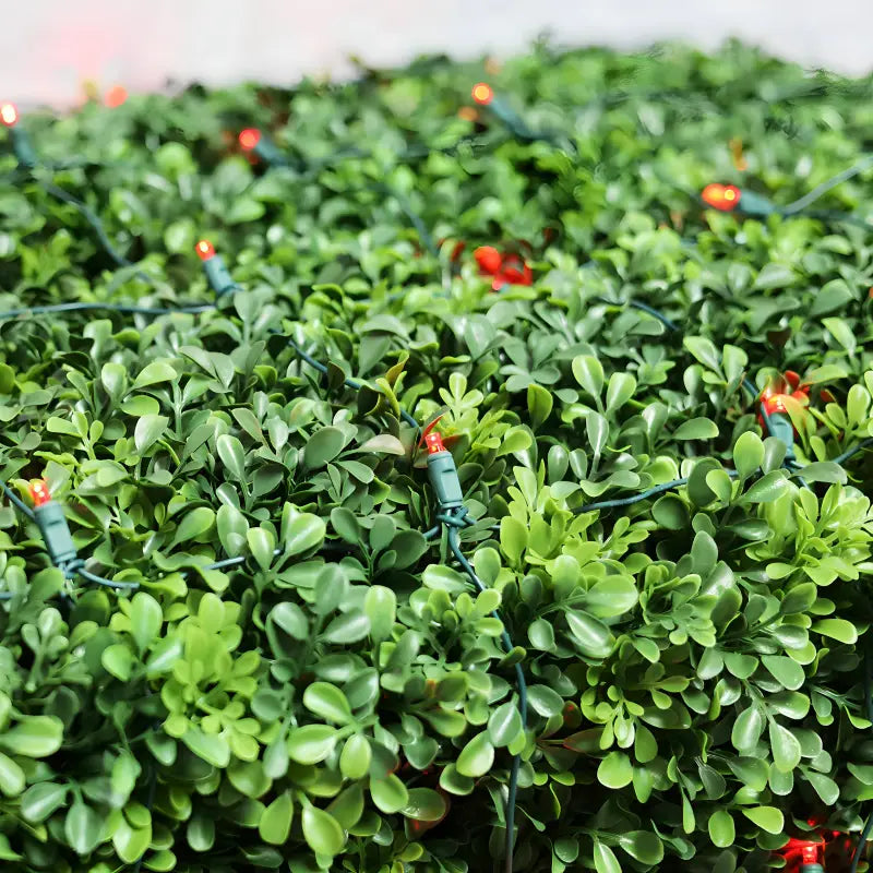 5mm 4' x 6' Red LED Net Lights