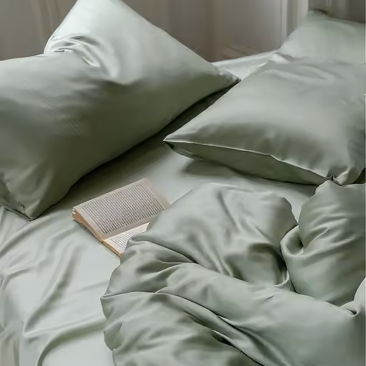Eucalypso Silky Pillowcase Set (2)