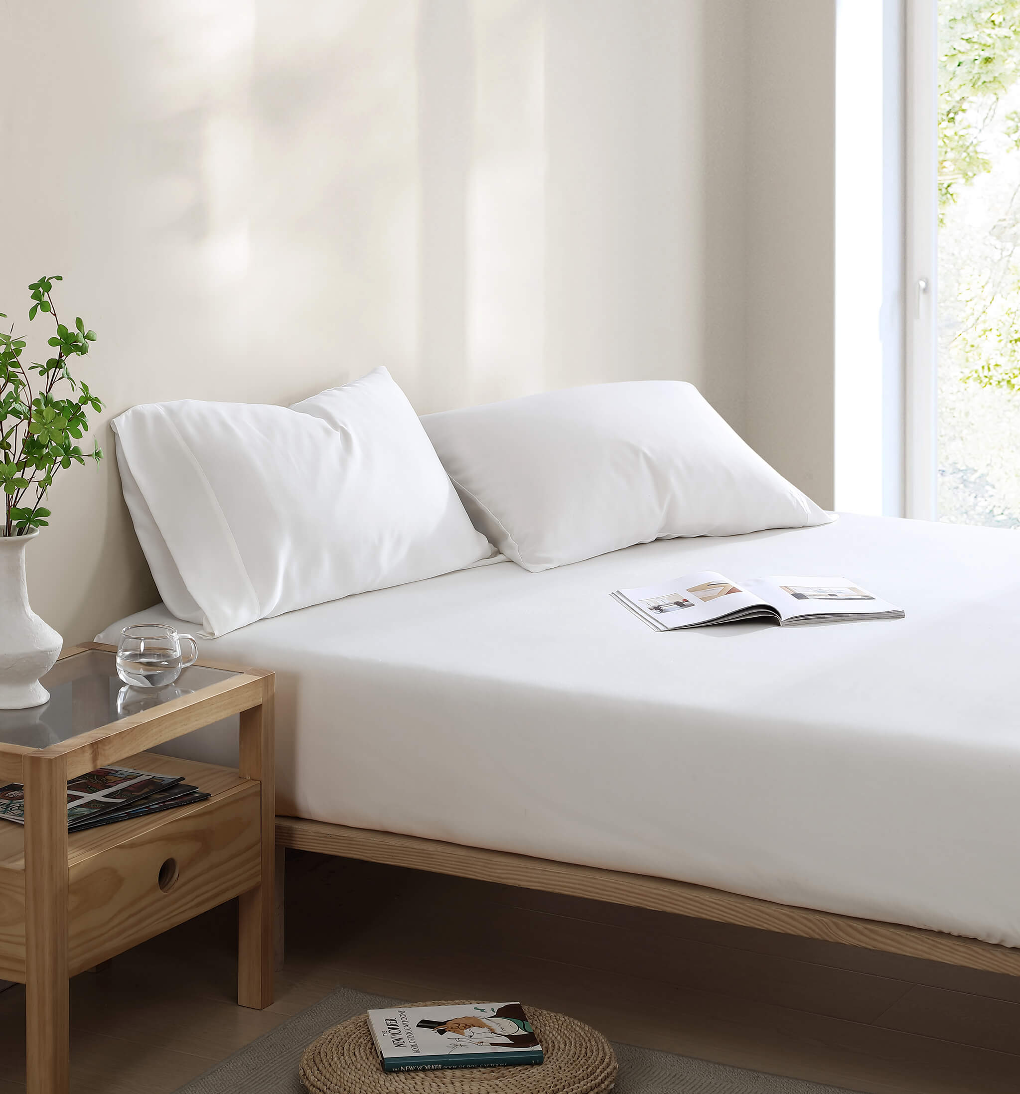 Silky Lyocell Pillowcase Set