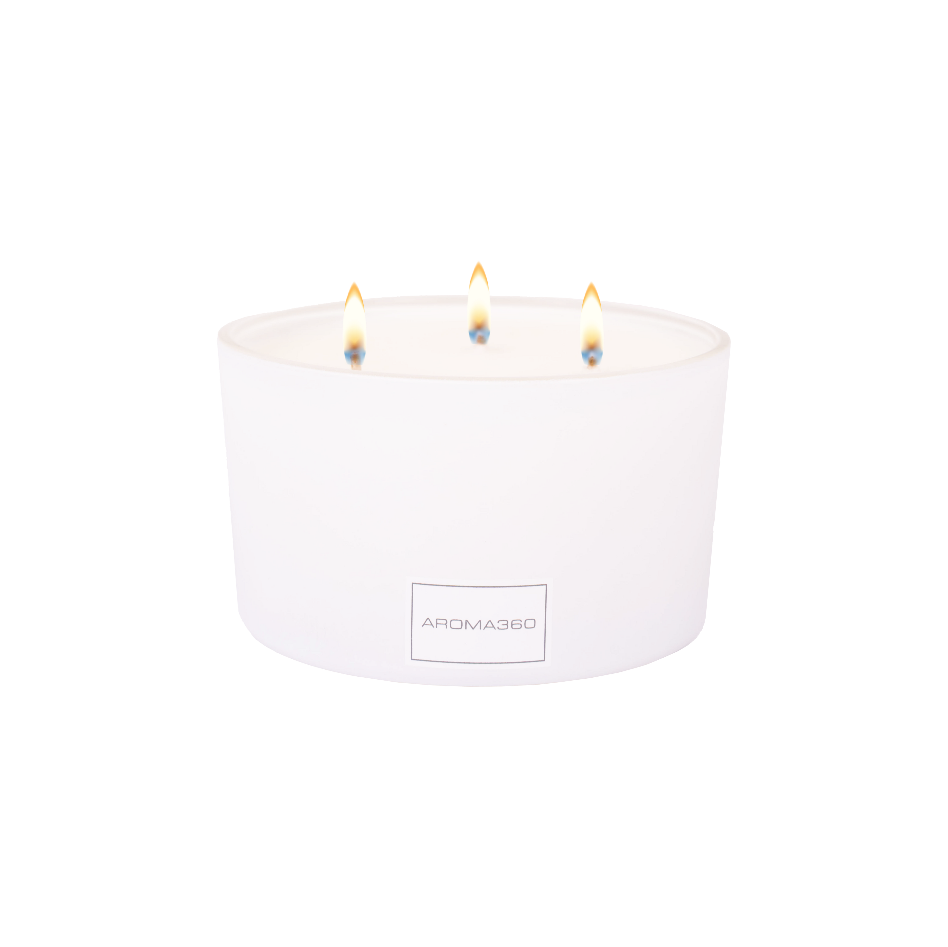 Iris 3-Wick Candle