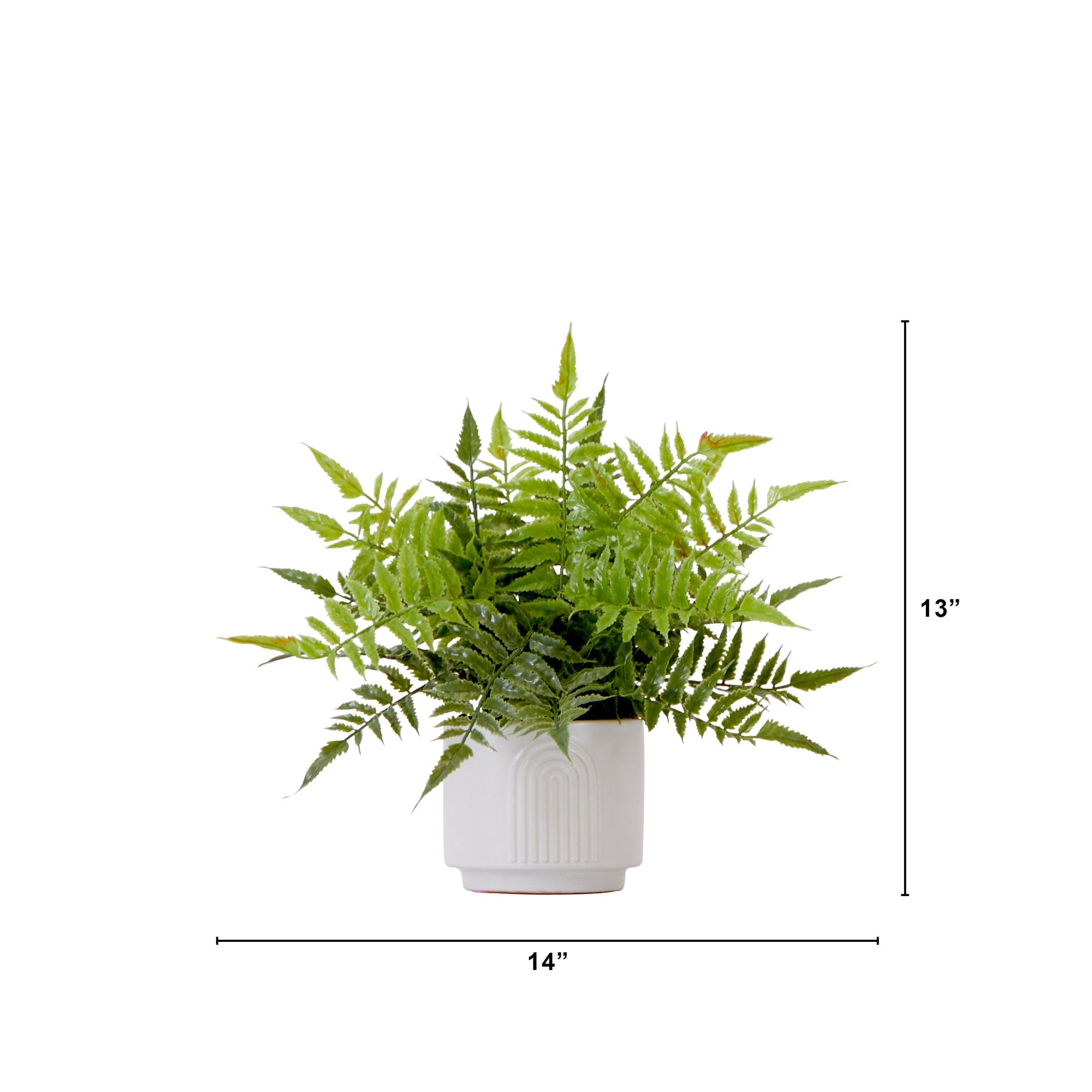 13" Artificial Boston Fern Plant with Decorative Planter
