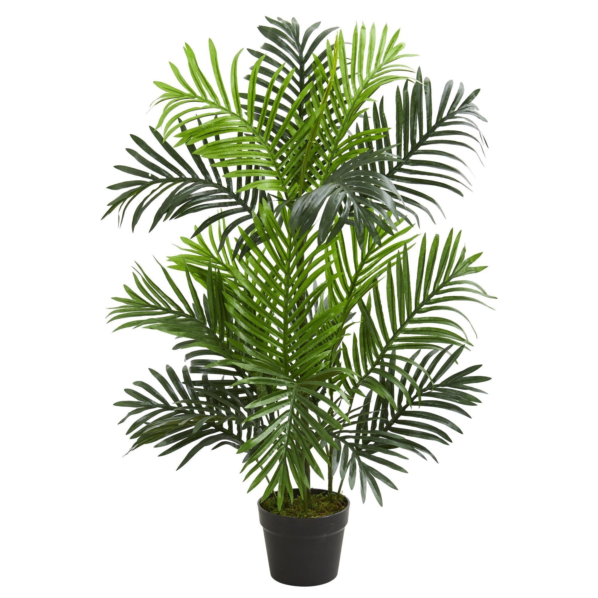 3’  Paradise Palm Artificial Tree