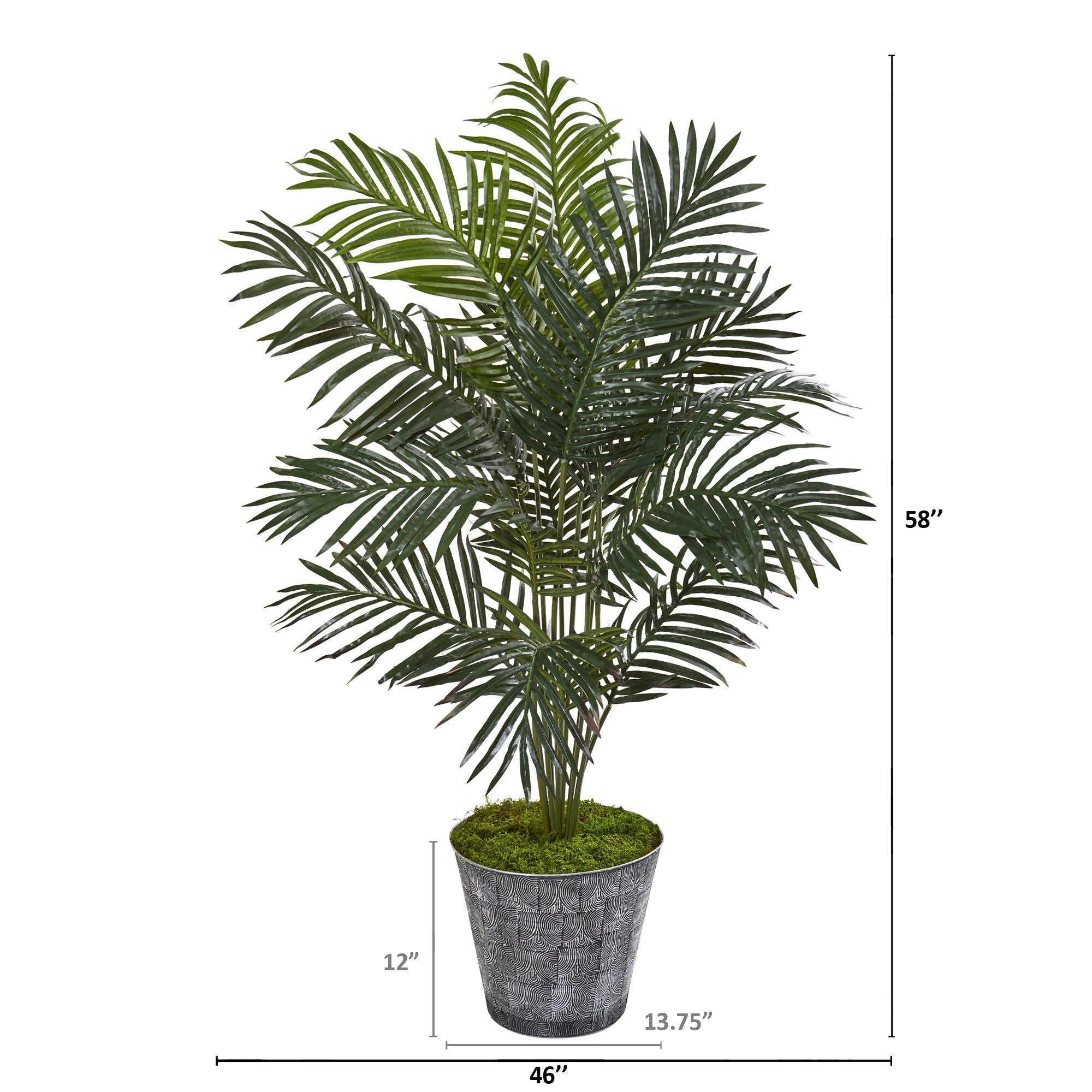 58” Paradise Palm Artificial Tree in Decorative Planter
