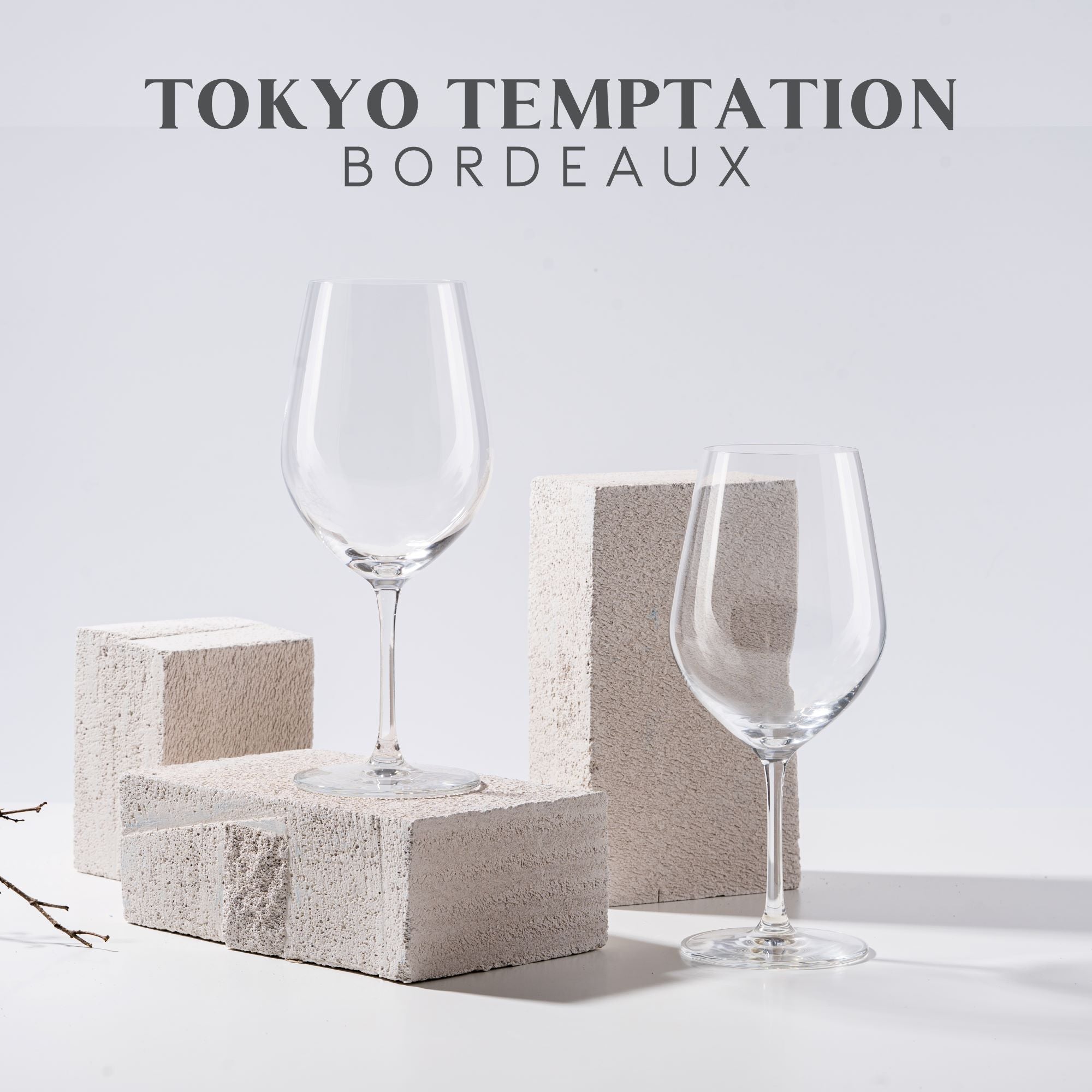 Tokyo Temptation Bordeaux Wine Glasses - (625 mL / 22 fl. oz.)