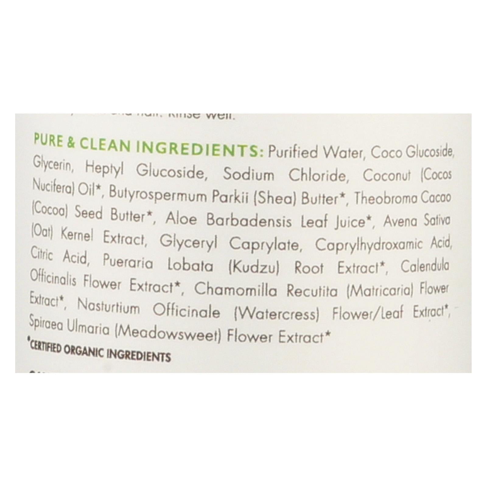 Babo Botanicals Fragrance-Free Foaming Body Wash, 9 Fl Oz