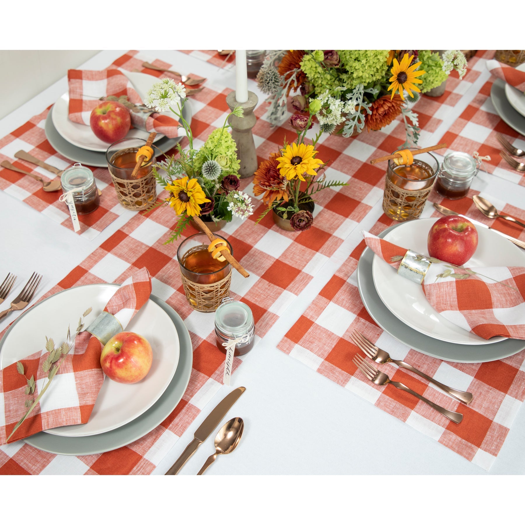 Buffalo Check Napkins, Set of 4