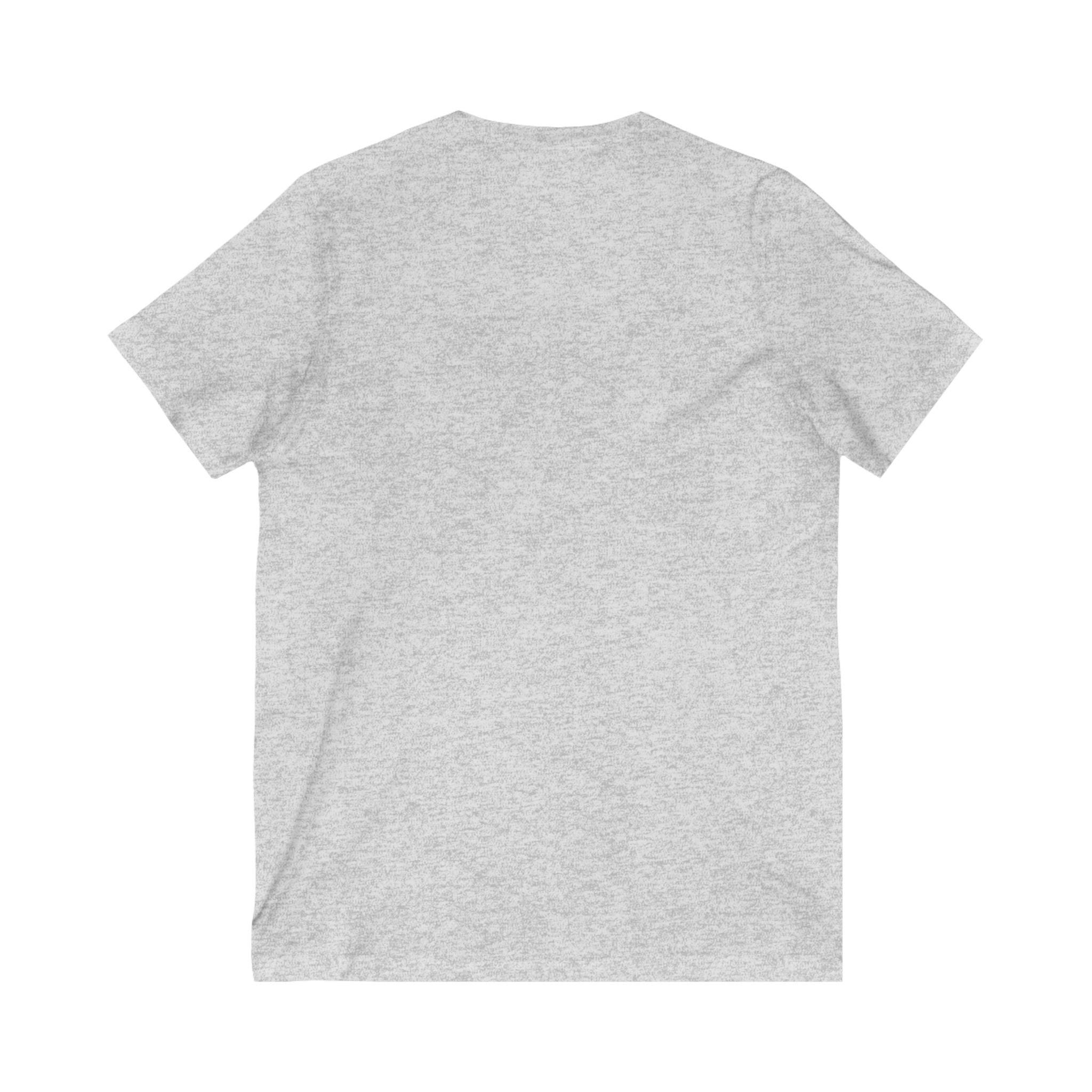 V-Neck Tee, Manifestation Shirt, Law of Attraction Top, Positive Affirmation Tee, Inspirational T-Shirt, Motivational Apparel