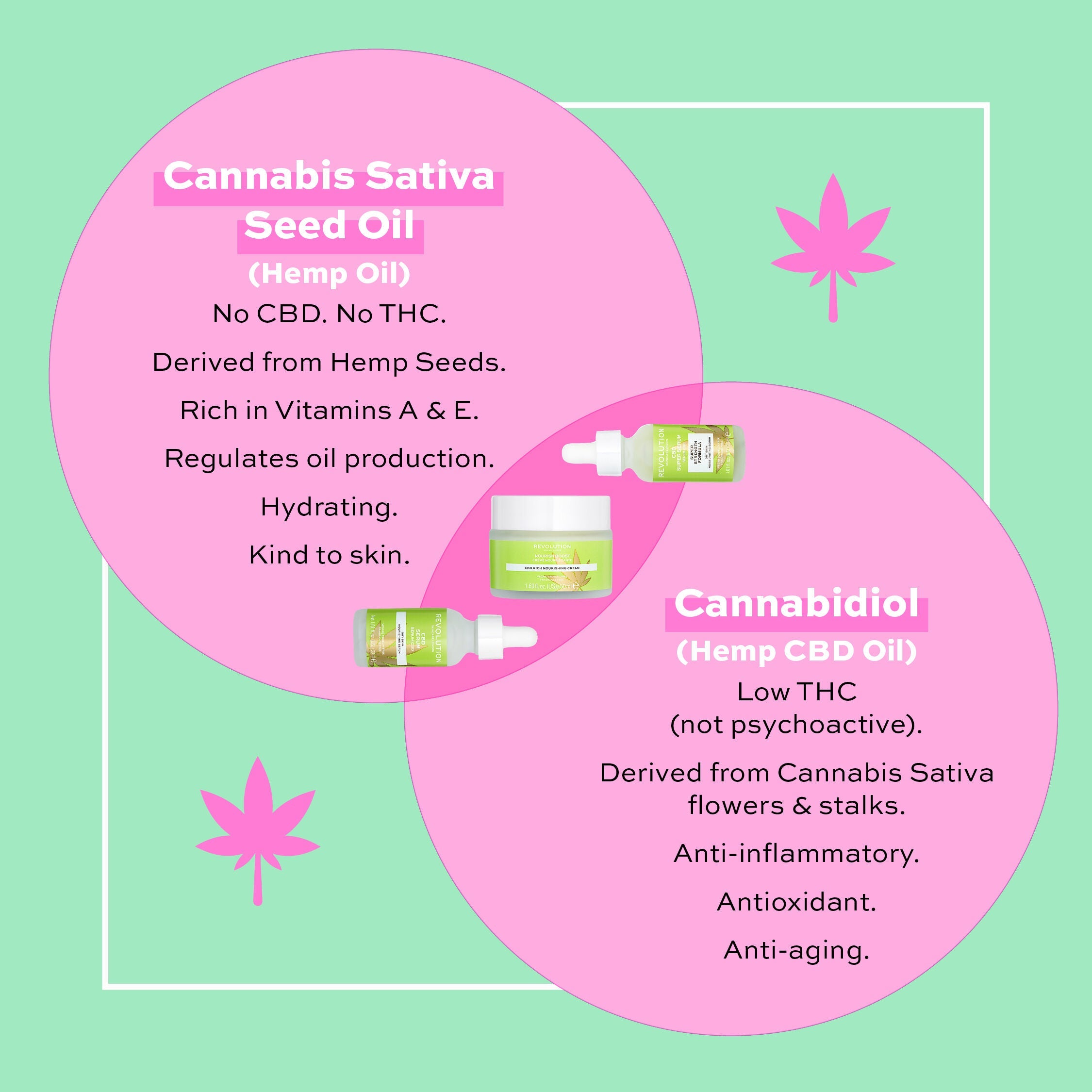 REVOLUTION CBD Rich Nourishing Cream