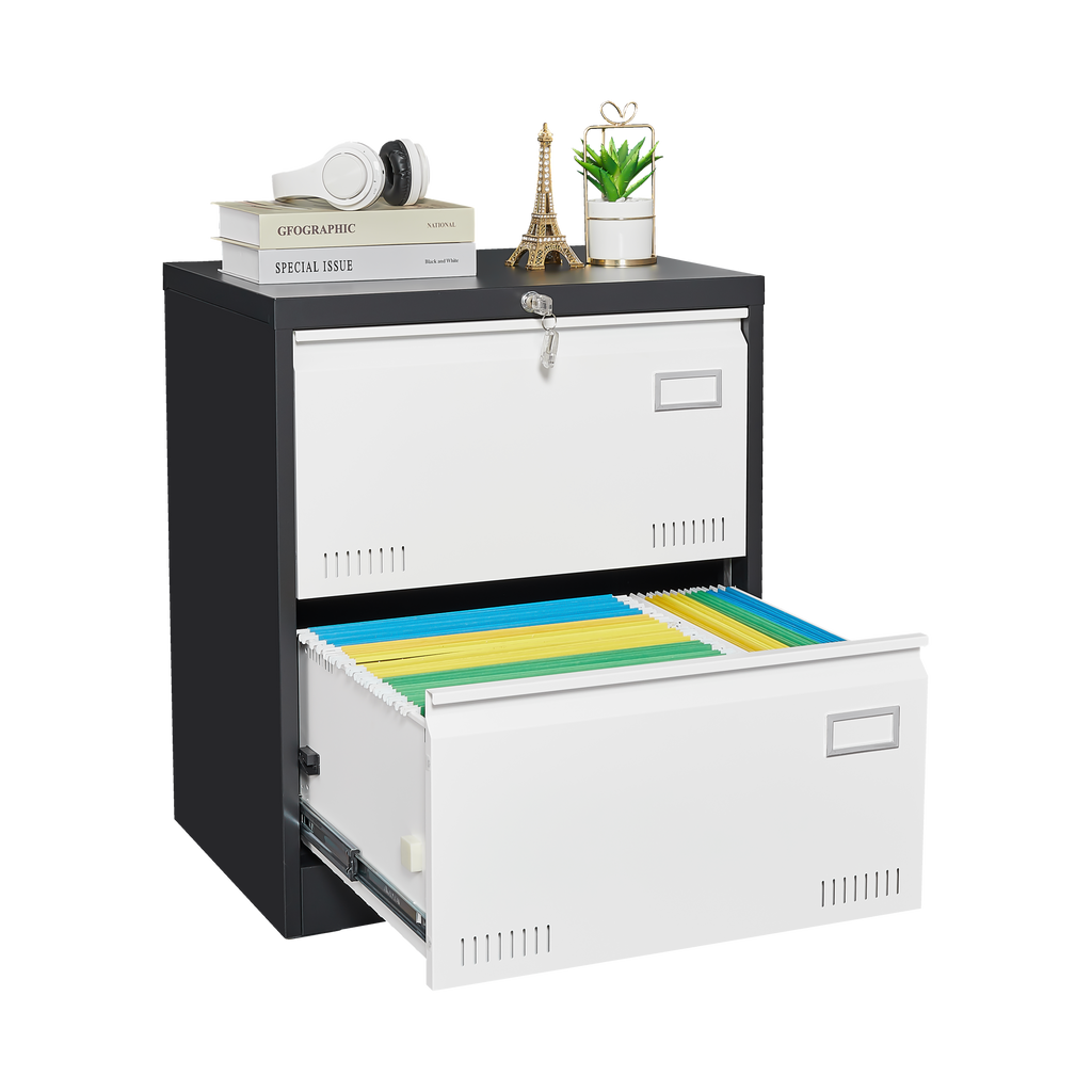 2 Drawer Metal Lateral File Cabinet with Lock Office Vertical Files Cabinet for Home Office/Legal/Letter/A4