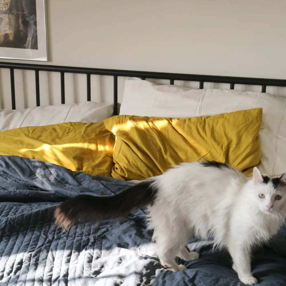 Linen+ Bamboo Quilted Coverlet