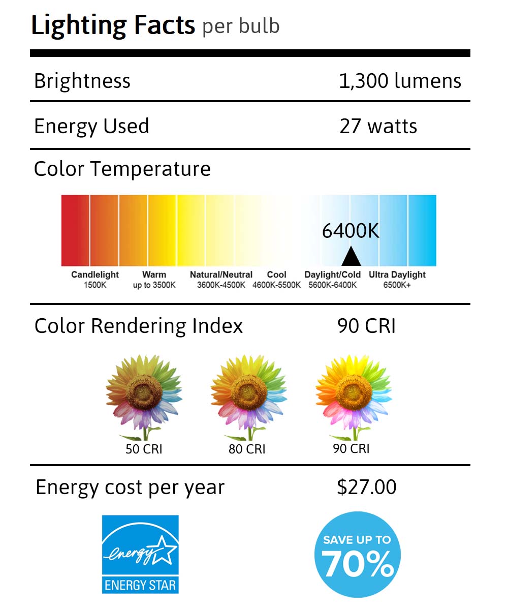 18 Watt Full Spectrum CFL Replacement Bulb (SET OF 6) Standard base by VisionMax