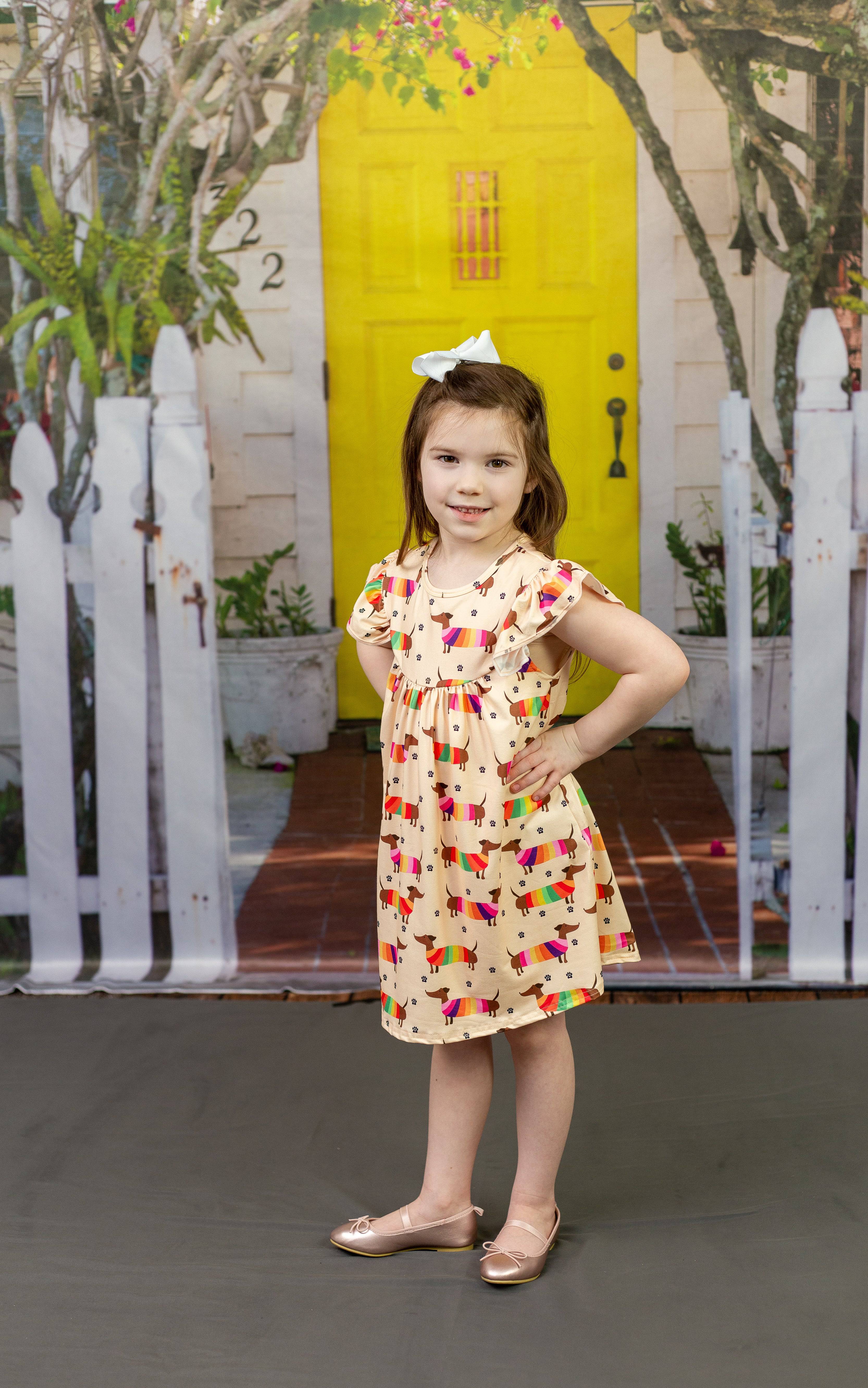 Colorful Weiner Dog Milk Silk Flutter Dress