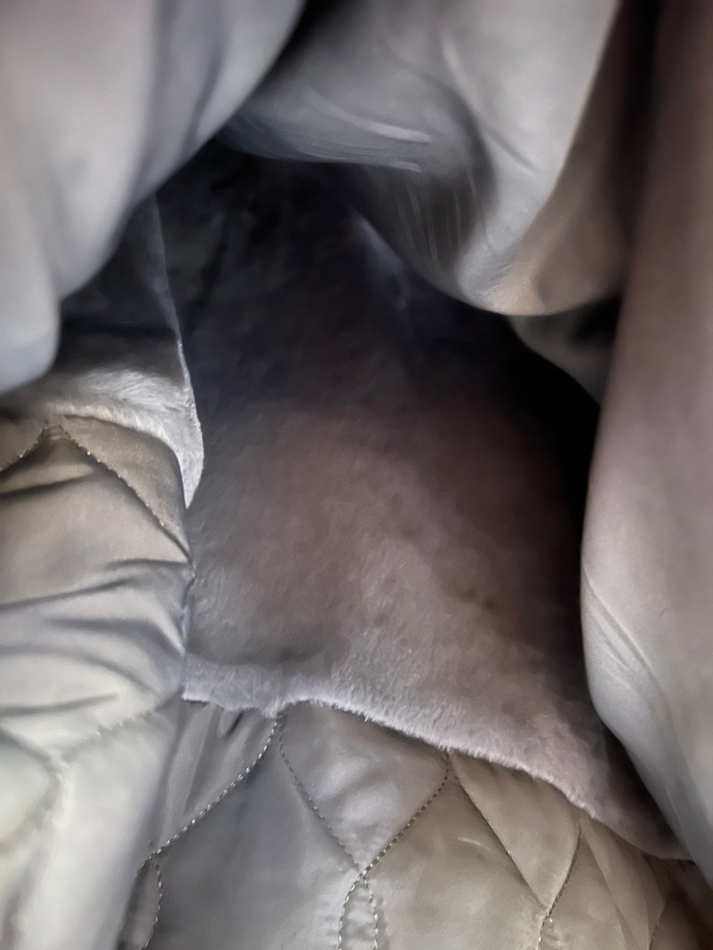 Genuine Silver Fox Fur Rabbit Fur Insulated Parka