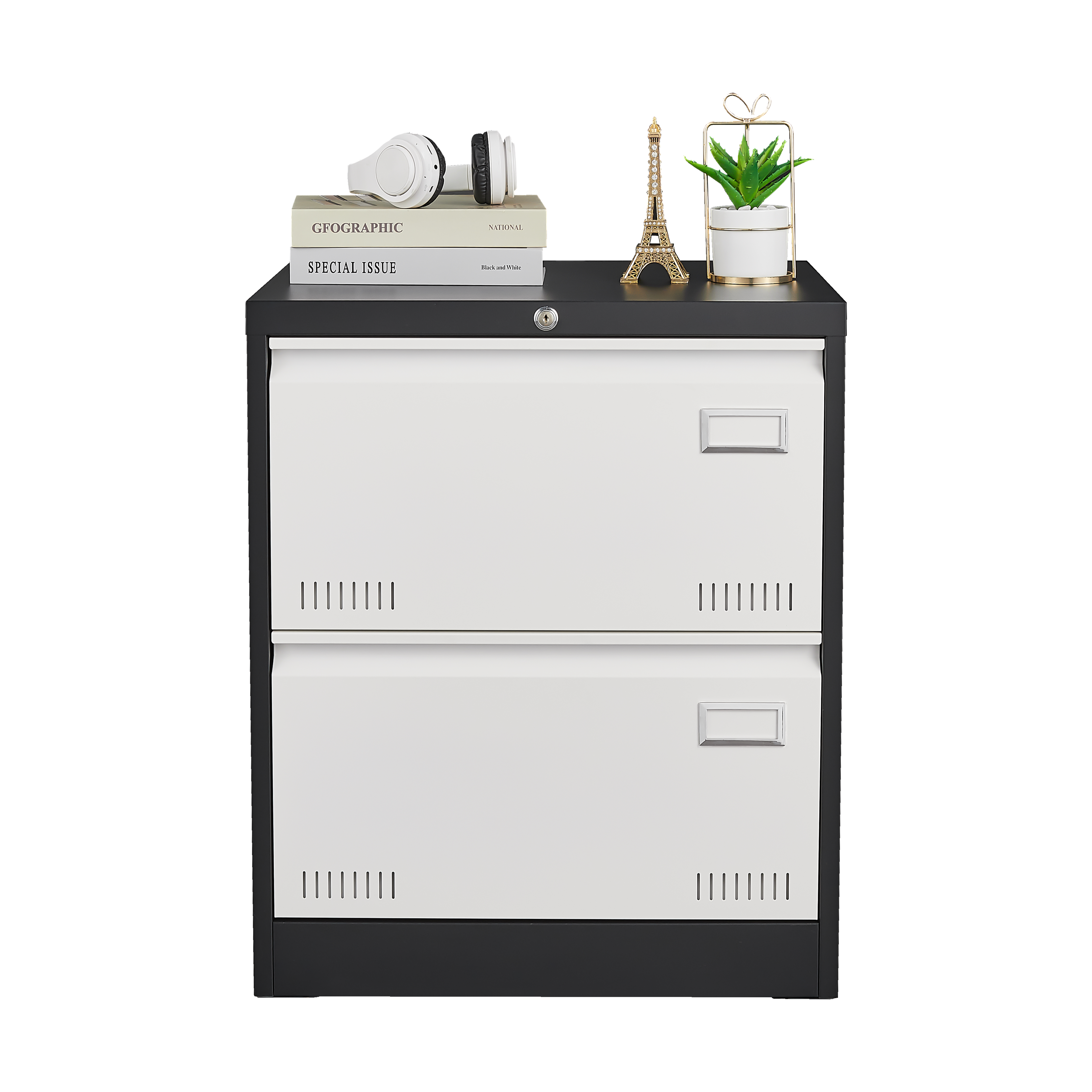 2 Drawer Metal Lateral File Cabinet with Lock Office Vertical Files Cabinet for Home Office/Legal/Letter/A4