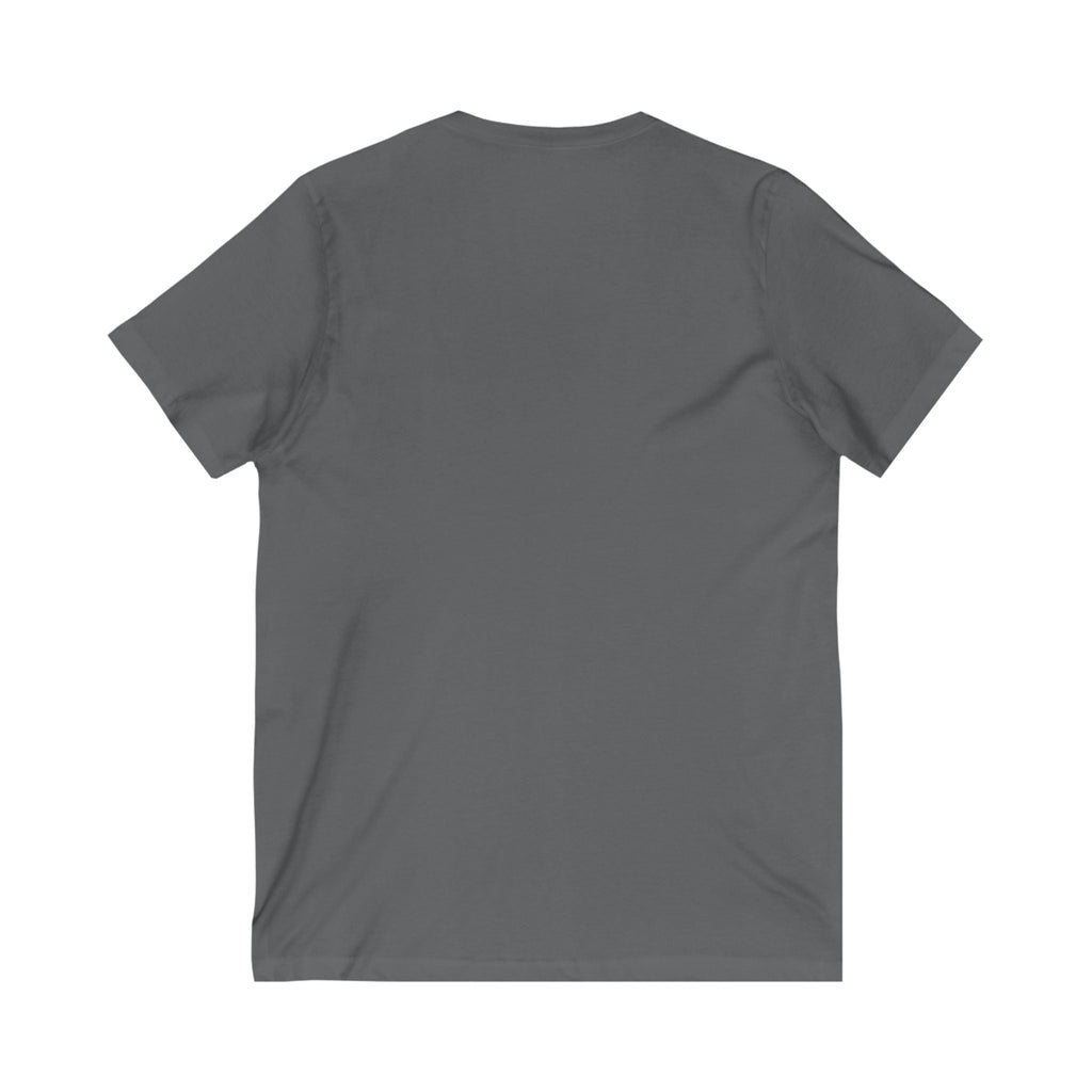 V-Neck Tee, Manifestation Shirt, Law of Attraction Top, Positive Affirmation Tee, Inspirational T-Shirt, Motivational Apparel
