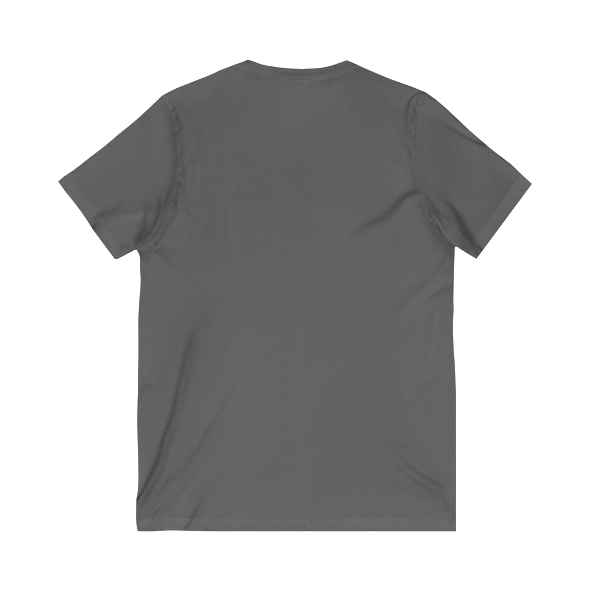 V-Neck Tee, Manifestation Shirt, Law of Attraction Top, Positive Affirmation Tee, Inspirational T-Shirt, Motivational Apparel