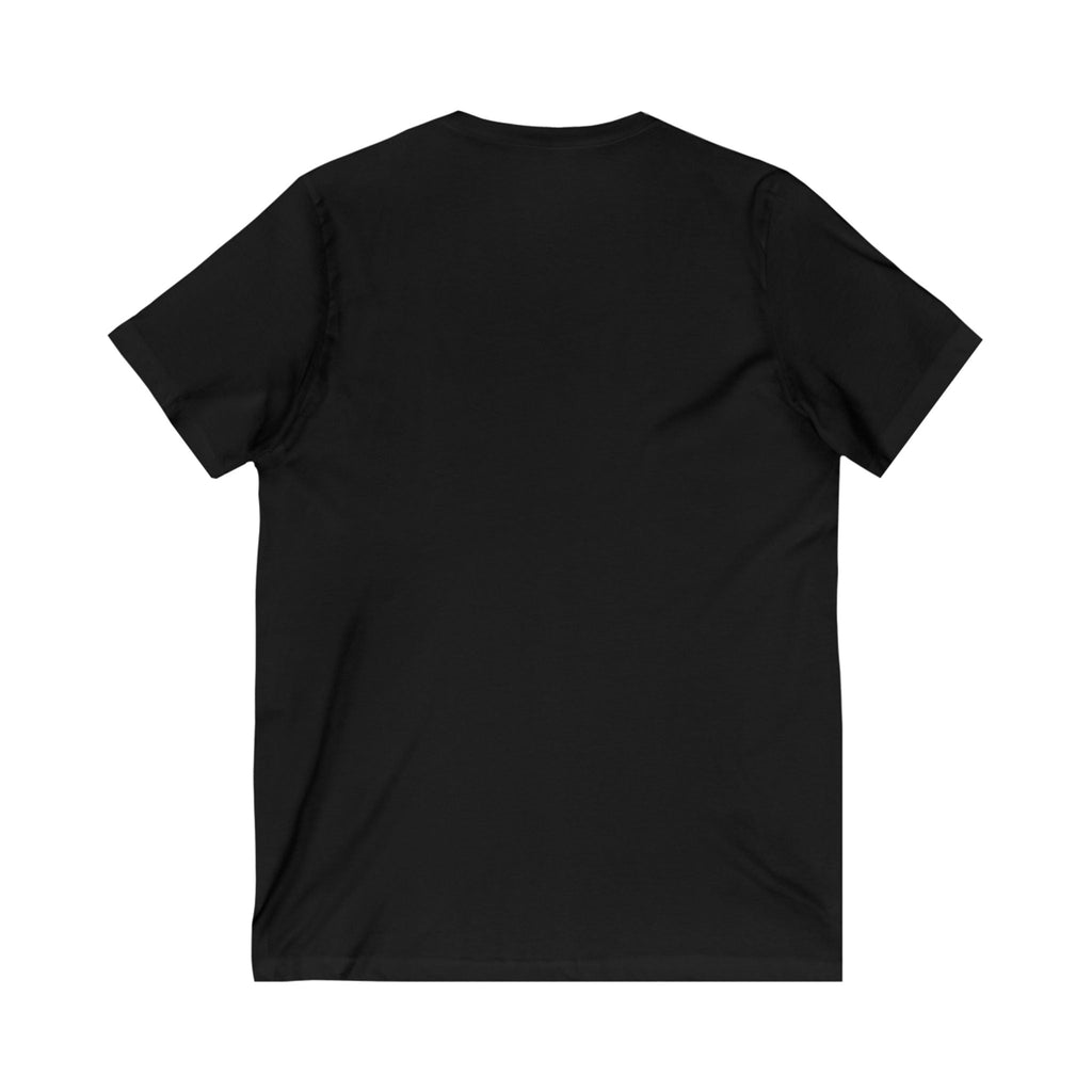 V-Neck Tee, Manifestation Shirt, Law of Attraction Top, Positive Affirmation Tee, Inspirational T-Shirt, Motivational Apparel