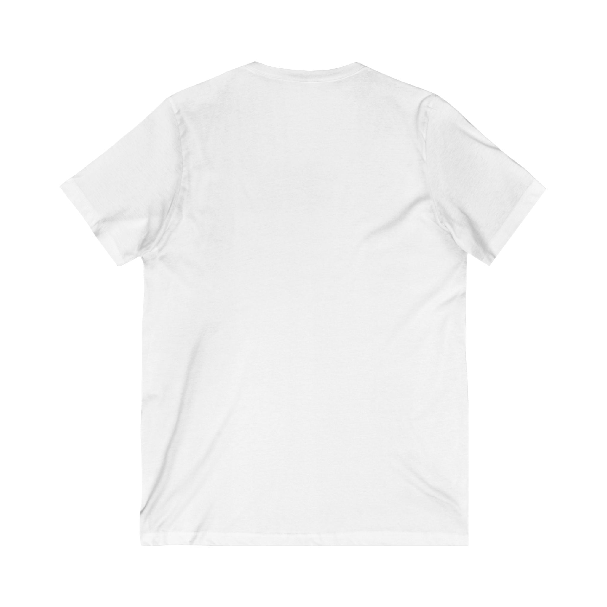V-Neck Tee, Manifestation Shirt, Law of Attraction Top, Positive Affirmation Tee, Inspirational T-Shirt, Motivational Apparel