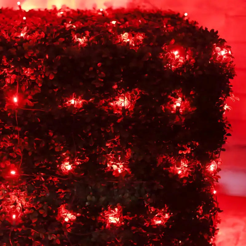 5mm 4' x 6' Red LED Net Lights