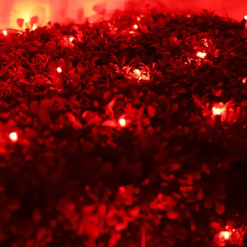 5mm 4' x 6' Red LED Net Lights
