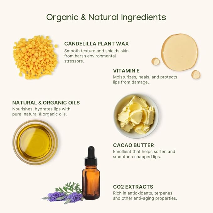 ILIKA Lip Balm, Organic,100% Plant-Based, 2X Volume, Low CO2e - COSMOS Certified Organic, PETA Certified Vegan & Cruelty-Free, Biodegradable Tube 4 Pack, Essential Collection