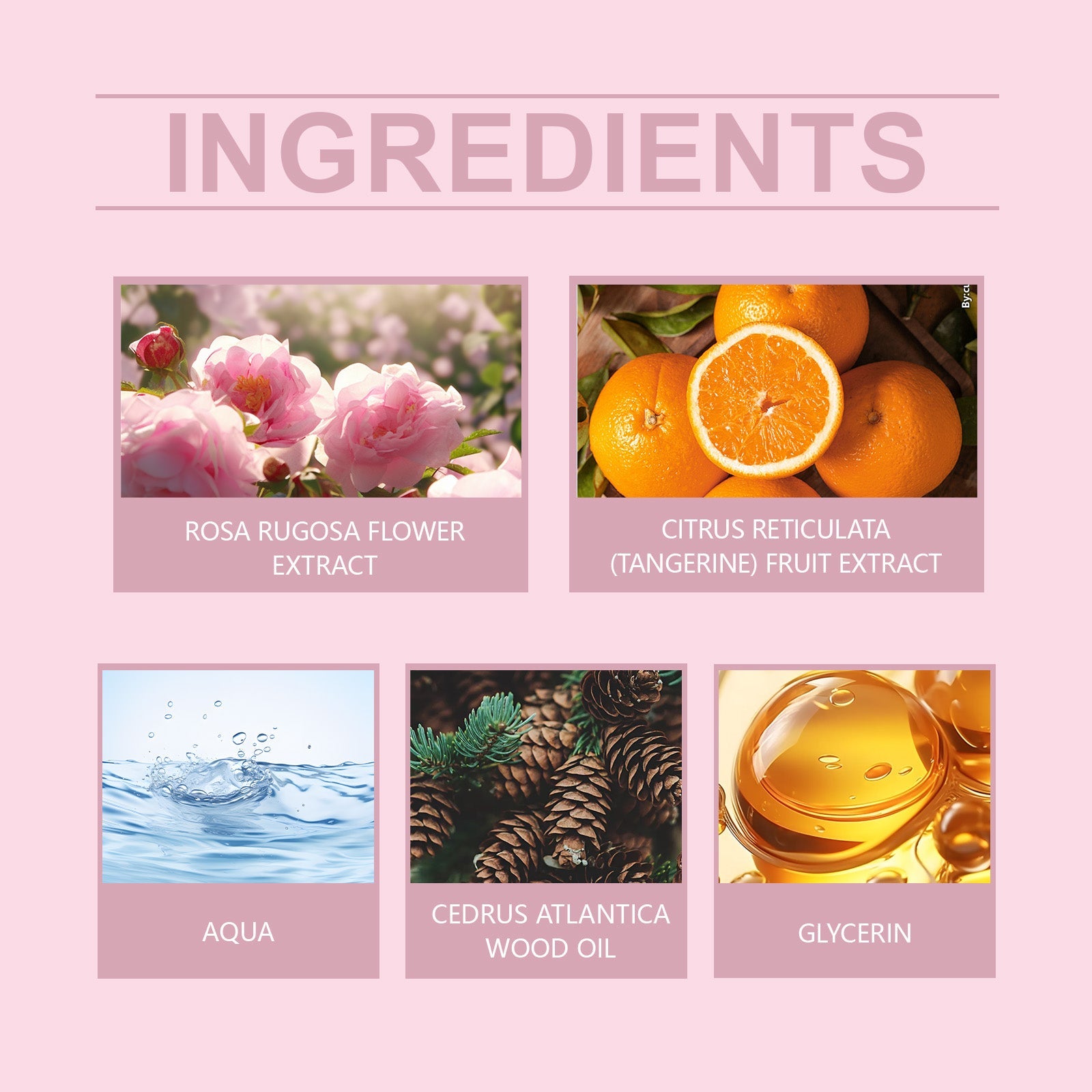 Fresh Perfume Spray, Lasting Fragrance Of Misty Rain Garden Wood Rose Fragrance Portable Perfume