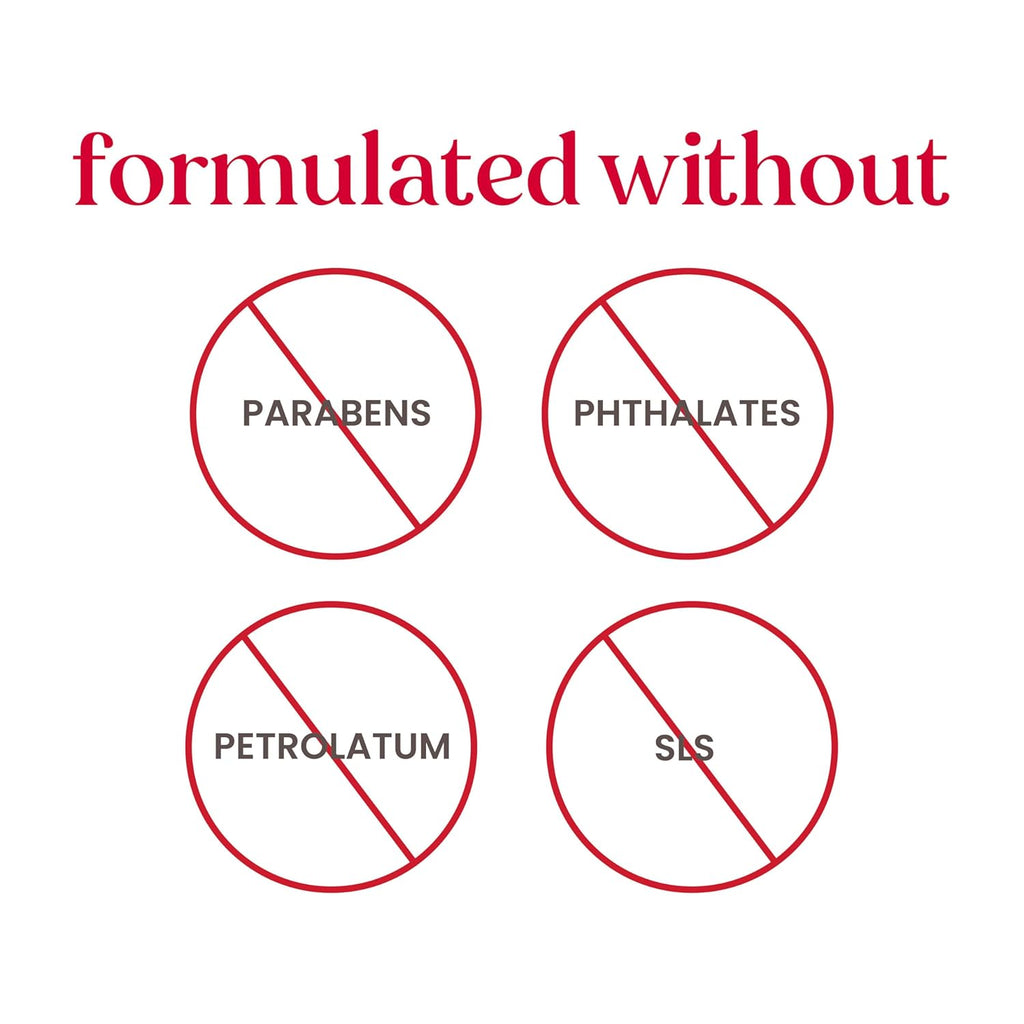 BURT'S BEES Lip Balm and Hand Salve Gift Set