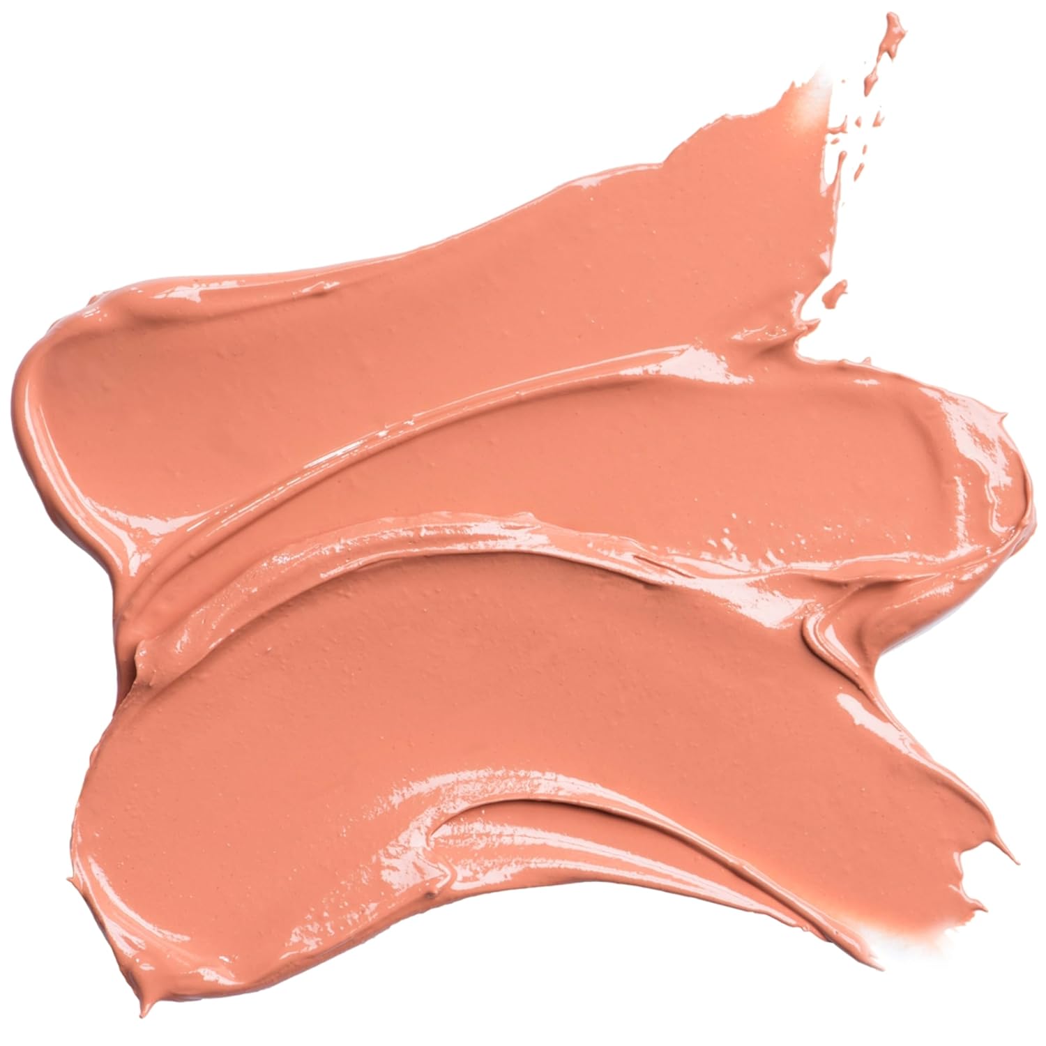 BURT'S BEES Gloss Lip Crayon