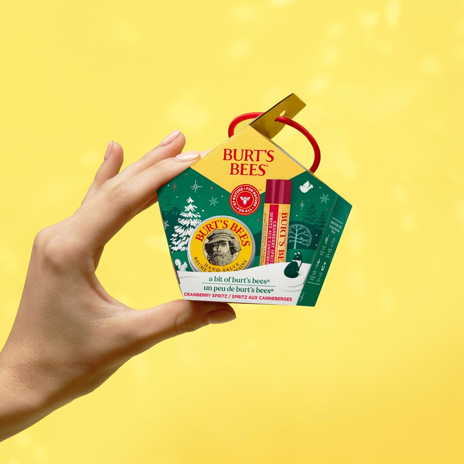 BURT'S BEES Lip Balm and Hand Salve Gift Set