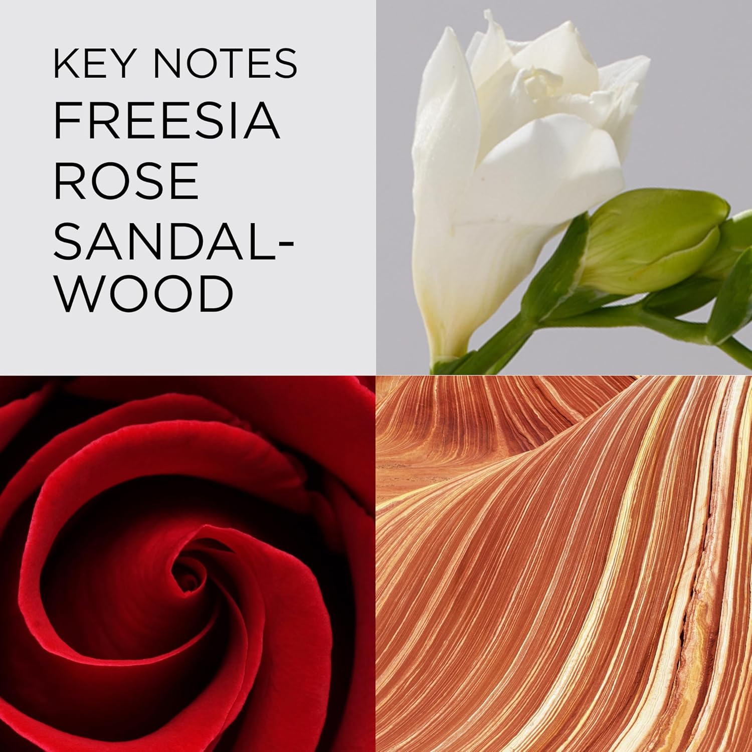 ELIZABETH ARDEN Red Door Eau de Toilette Spray