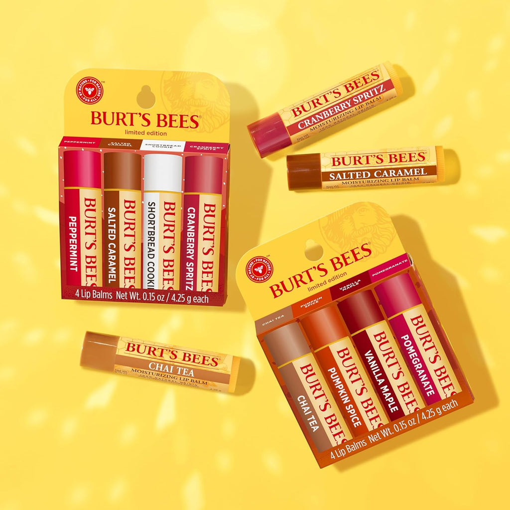 BURT'S BEES Festive Fix Moisturizing Lip Balm (Pack of 4)