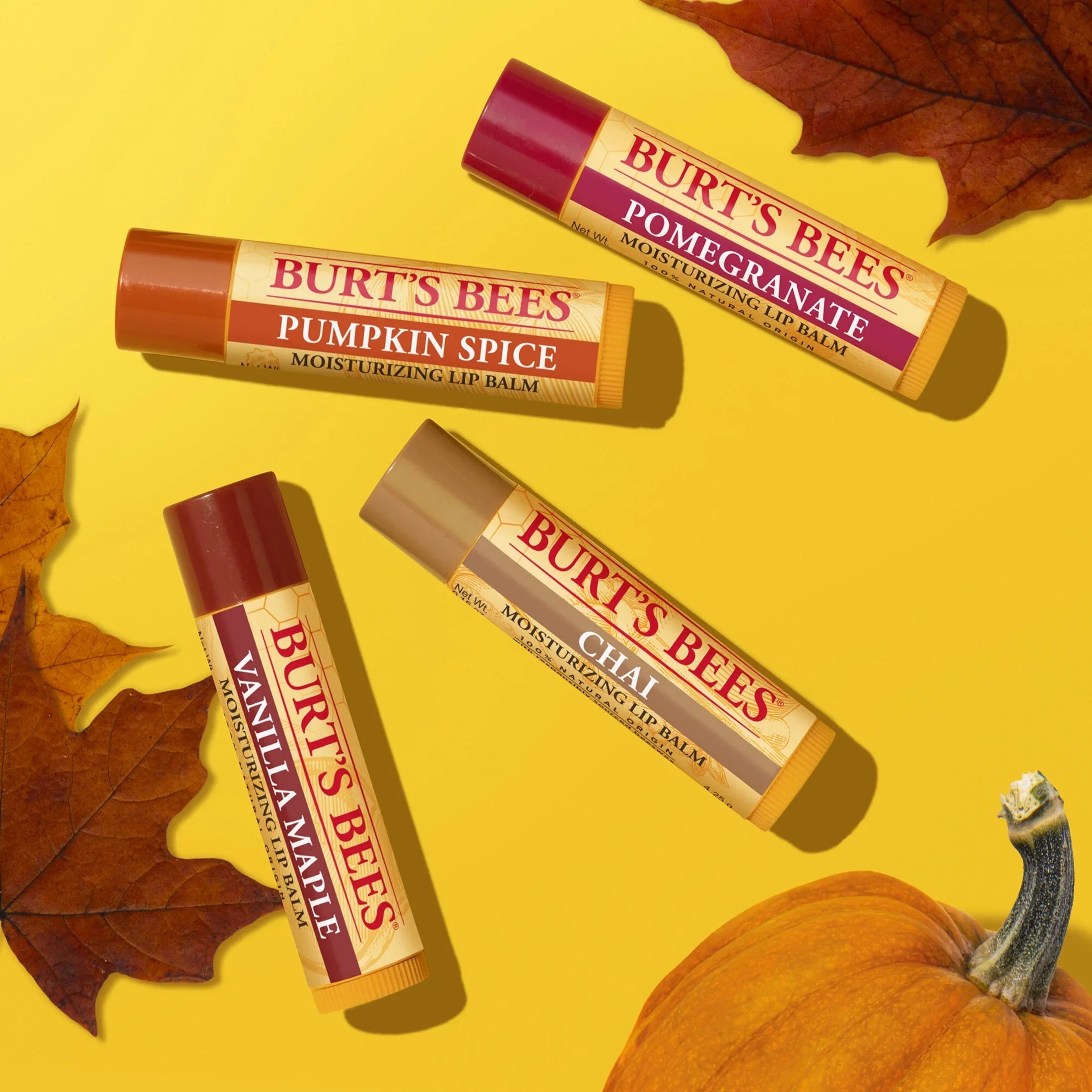BURT'S BEES Limited Edition Moisturizing Lip Balm