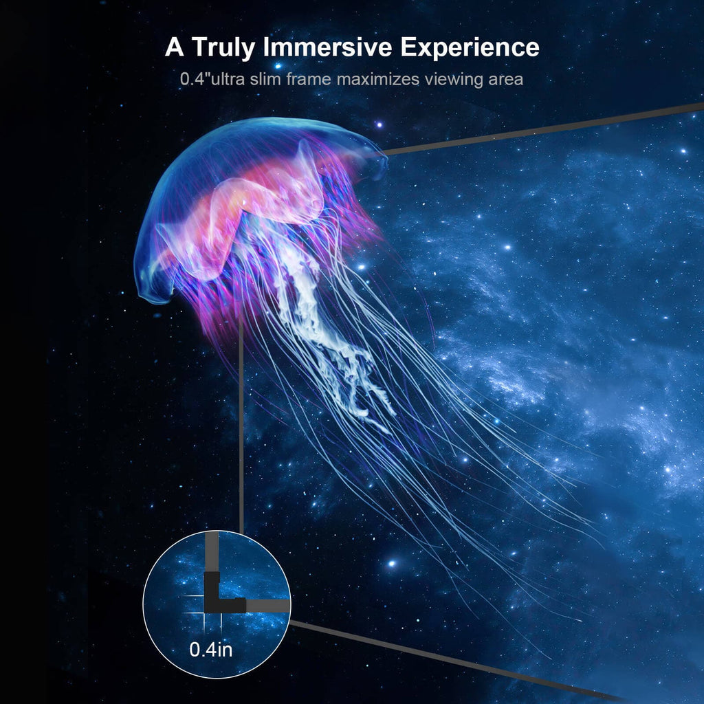 100''-180'' Matte White Screen