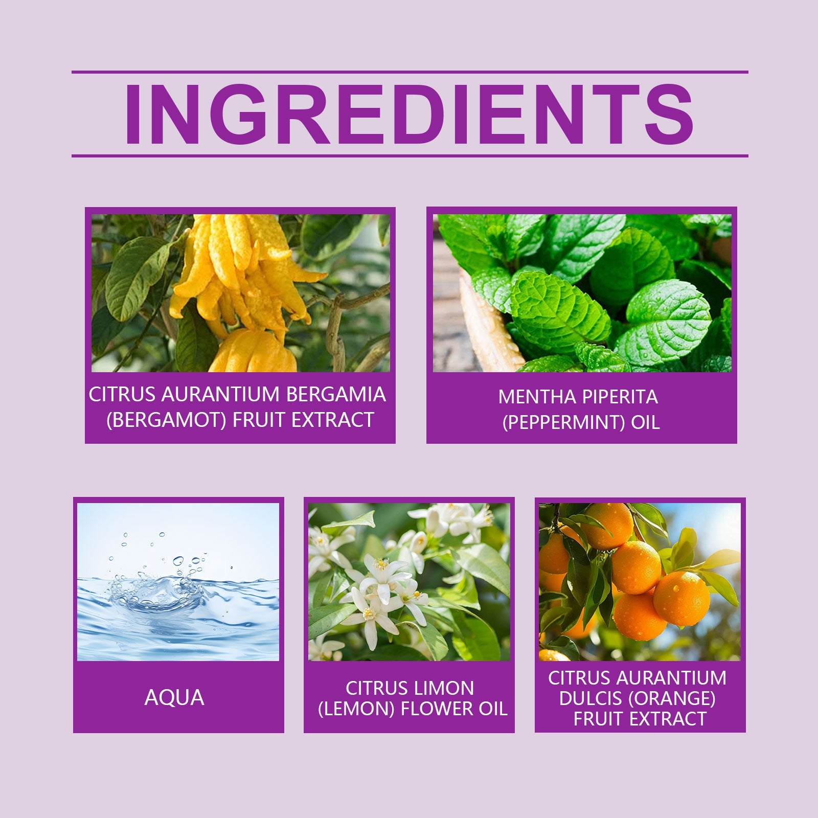 Refreshing Citrus Summer Perfume With Light Fragrance Charm Exudes A Refreshing And Long-Lasting Fragrance Spray