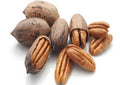 Pecans in the Shell 1 lb (16oz)