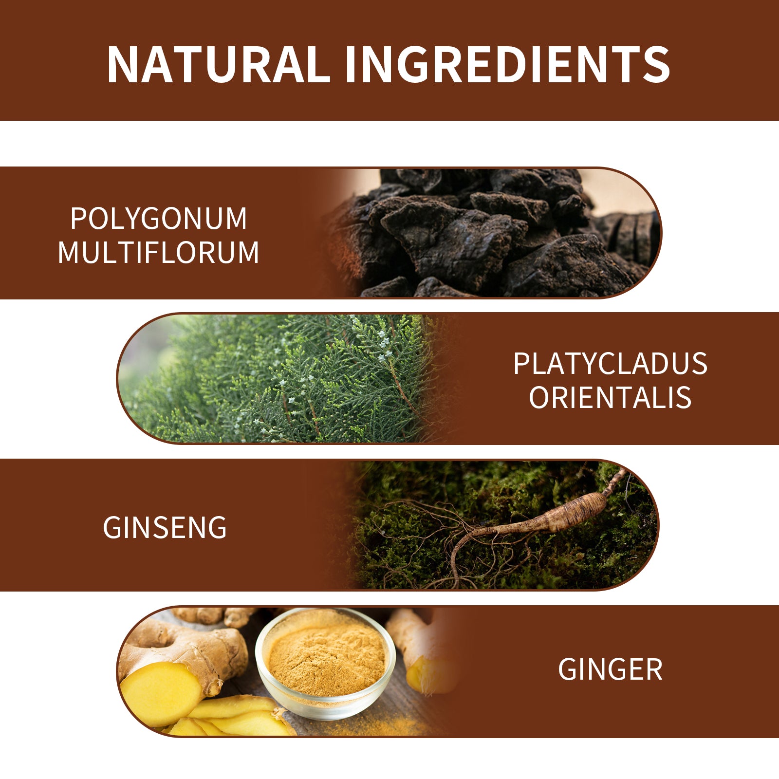 Polykum Multiflorum Repair Shampoo Natural Black Hair Moisturizing And Smoothing Shampoo