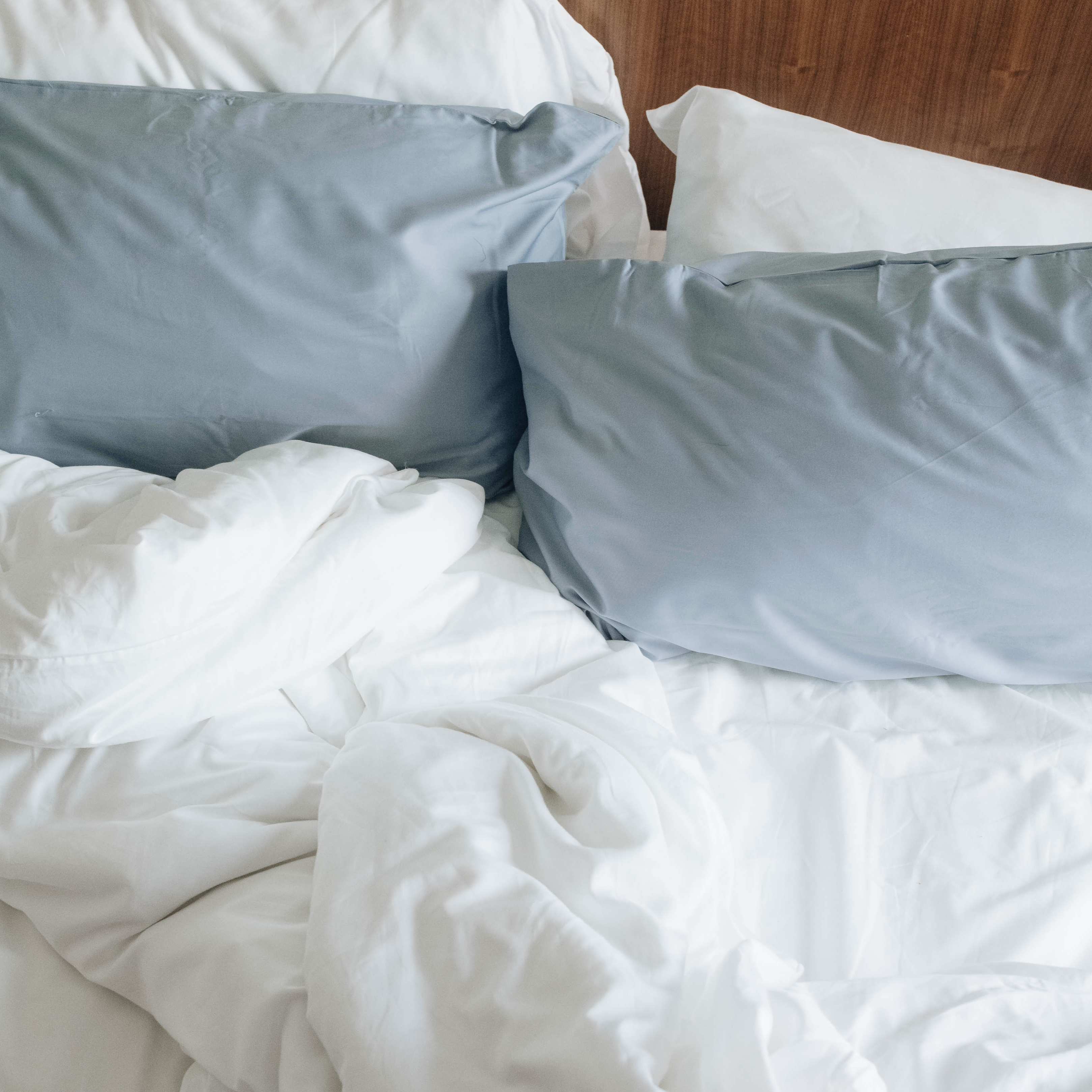 Eucalypso Silky Pillowcase Set (2)