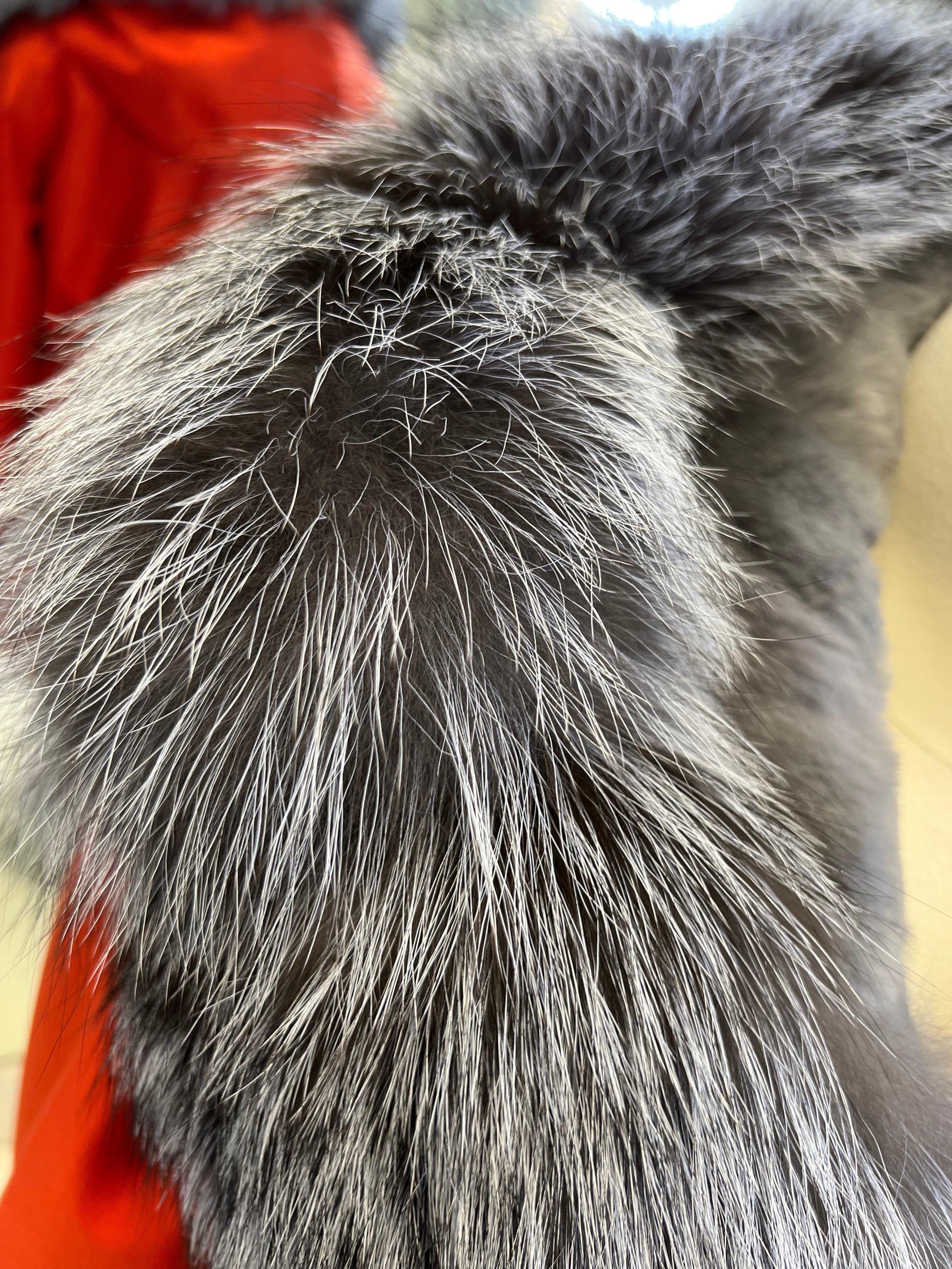 Genuine Silver Fox Fur Rabbit Fur Insulated Parka