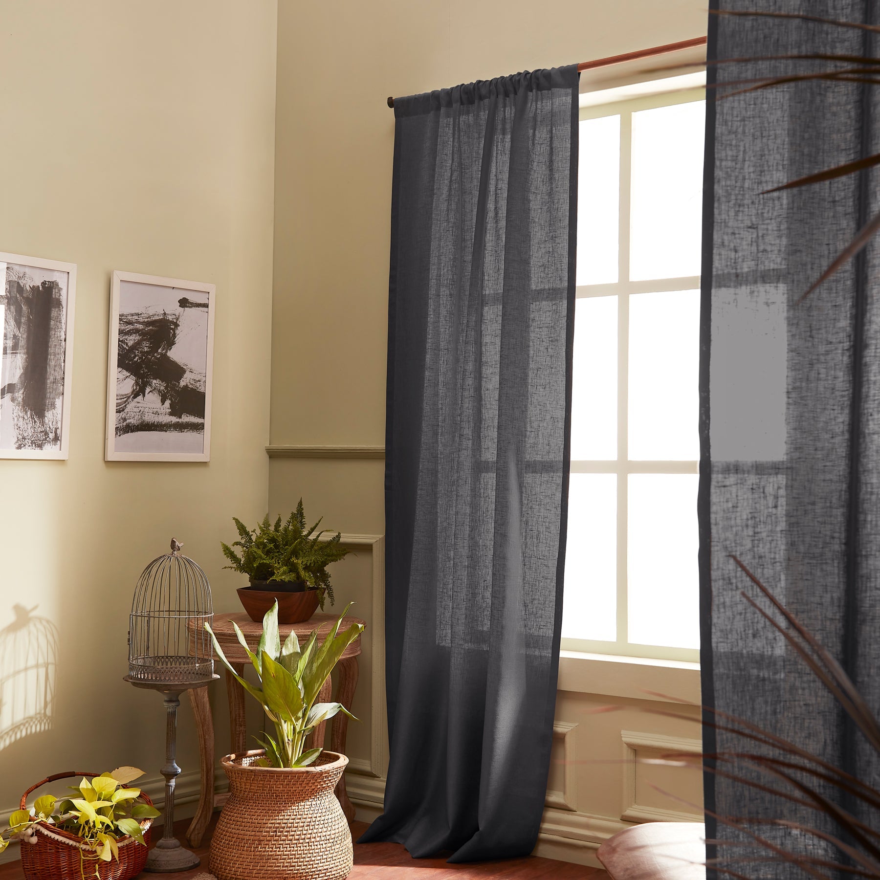 Sheer Curtains