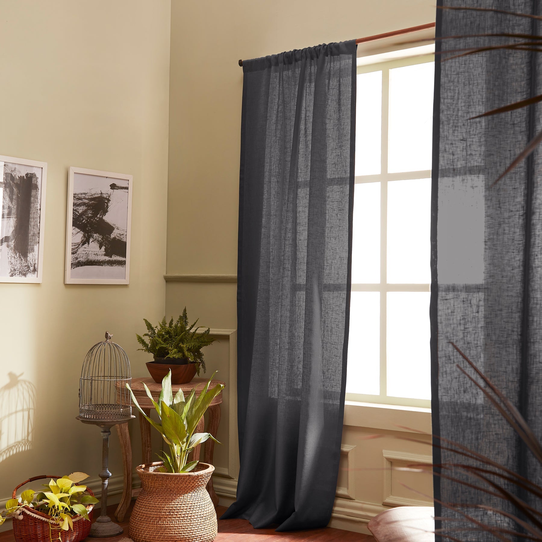 Sheer Curtains