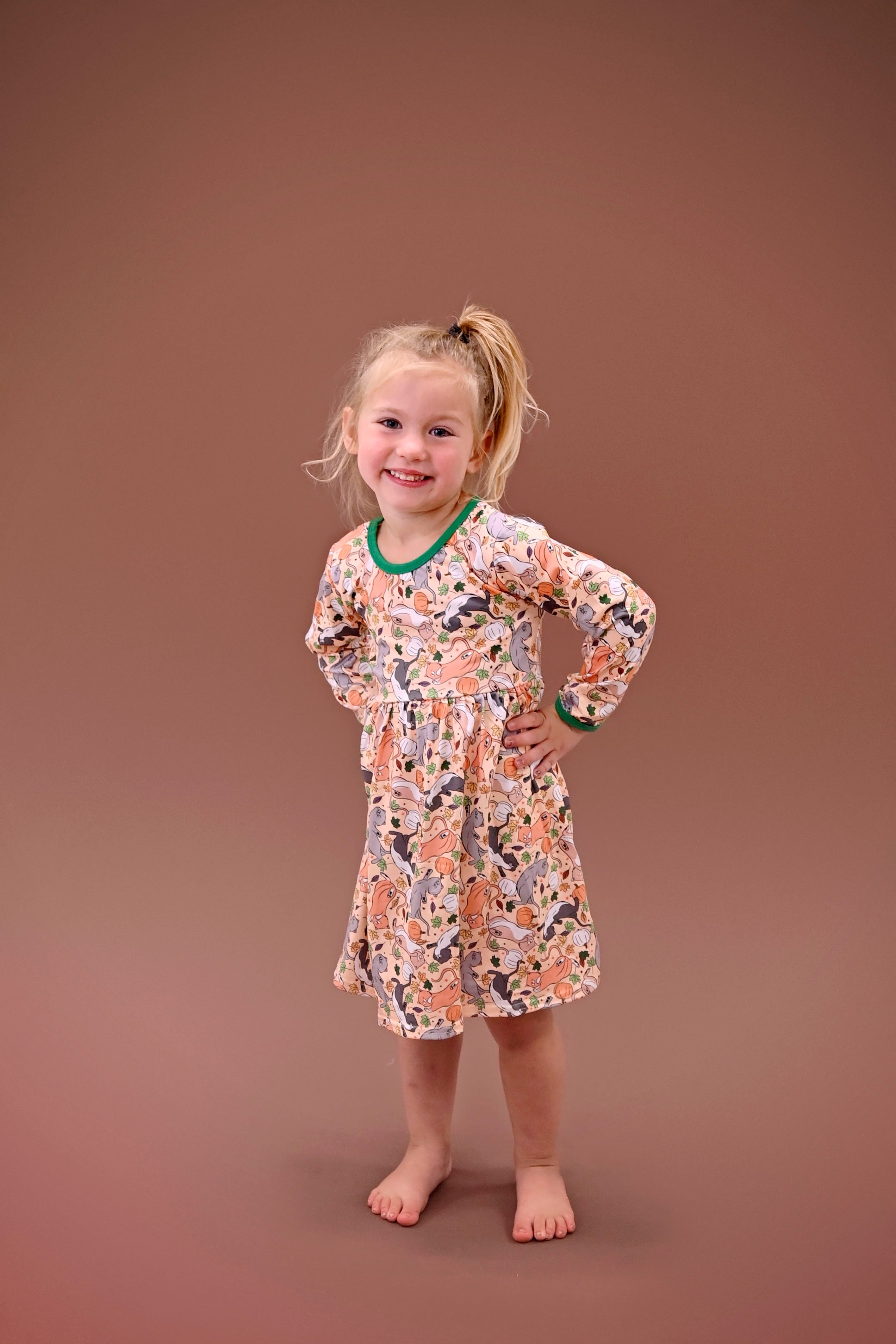 Kitties And Pumpkins Long Sleeve  Milk Silk Dress