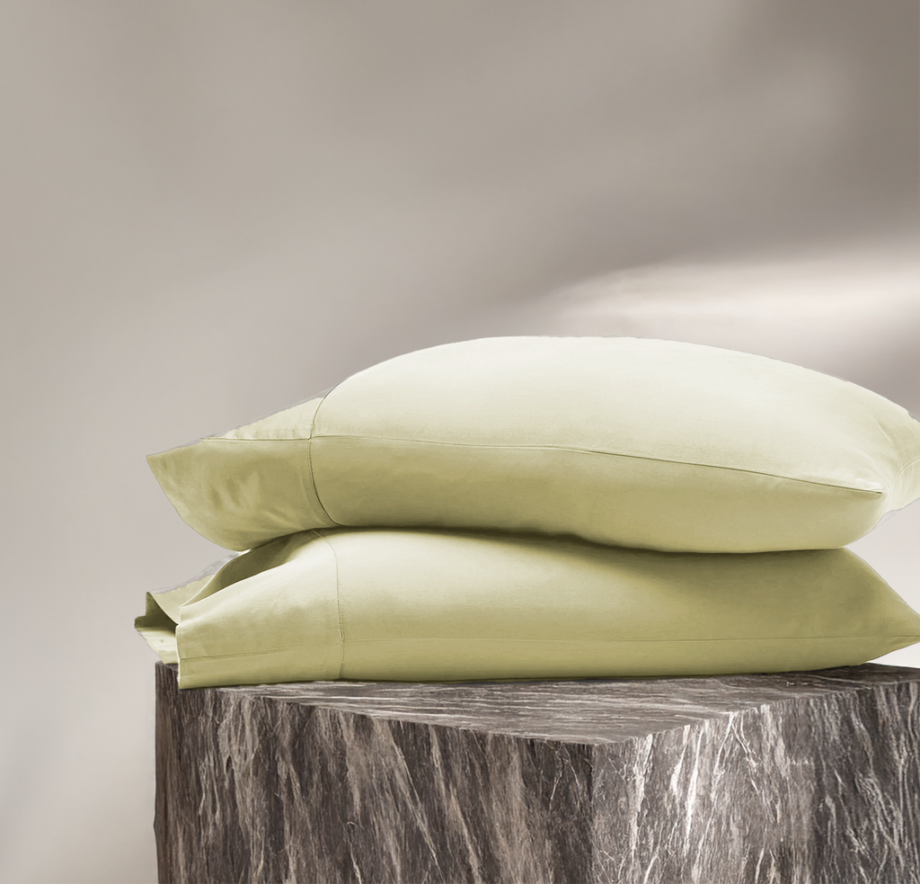 Eucalypso Silky Pillowcase Set (2)