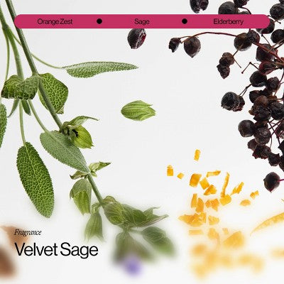 Eva NYC Repair Ritual Strength Shampoo 10 fl oz - New