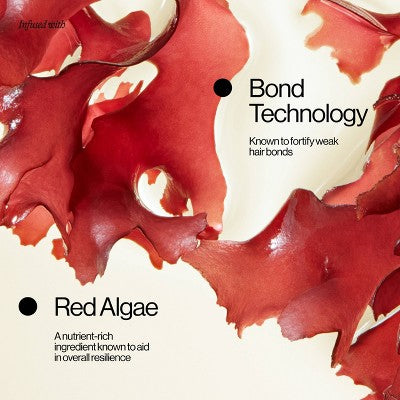 Eva NYC Repair Ritual Strength Shampoo 10 fl oz - New