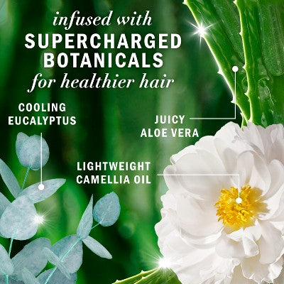 Herbal Essences Eucalyptus Sulfate Free Shampoo, For Dry Scalp 13.5 fl oz - Imperfect Container