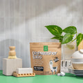 Green Llama Dish Starter Kit