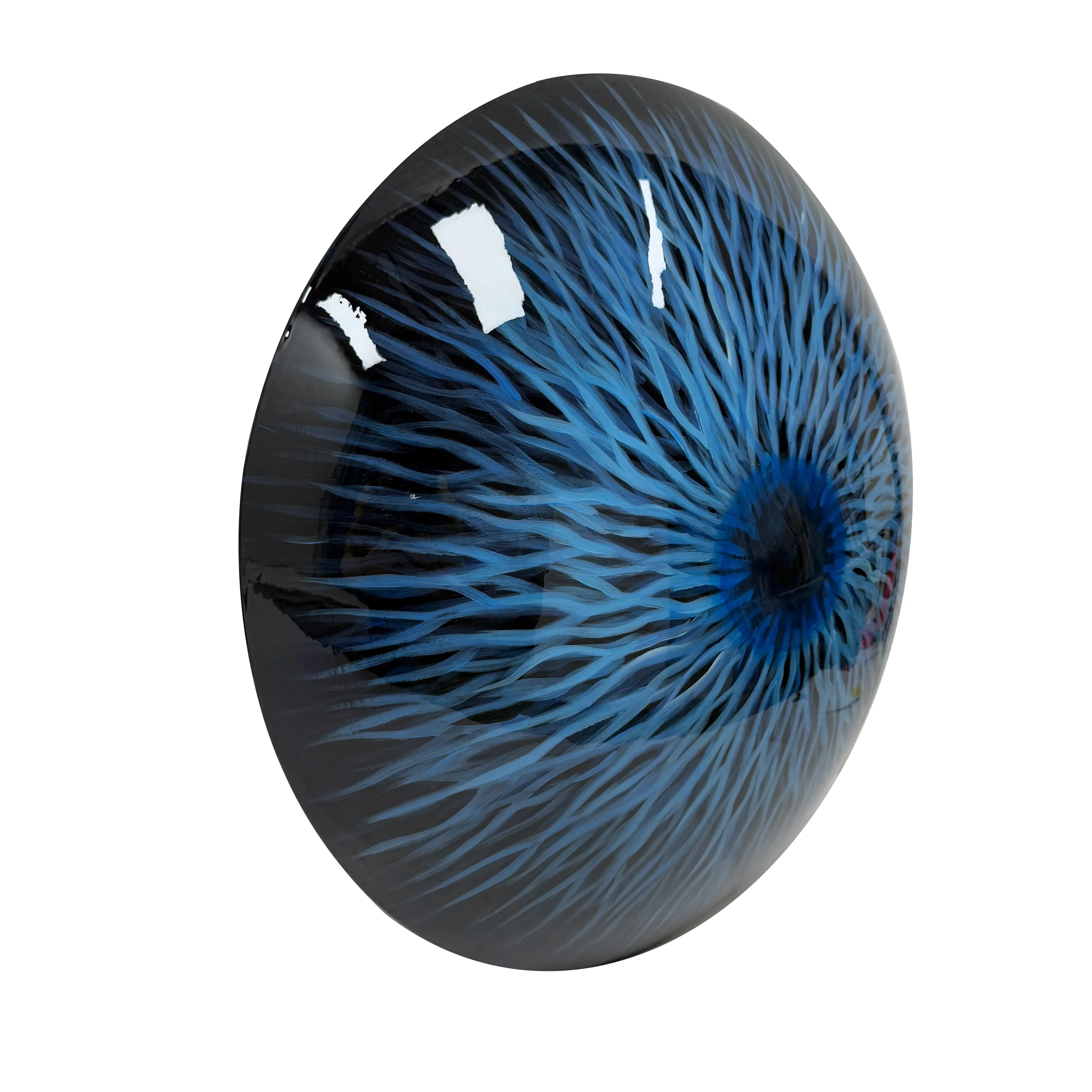 Nova Bloom