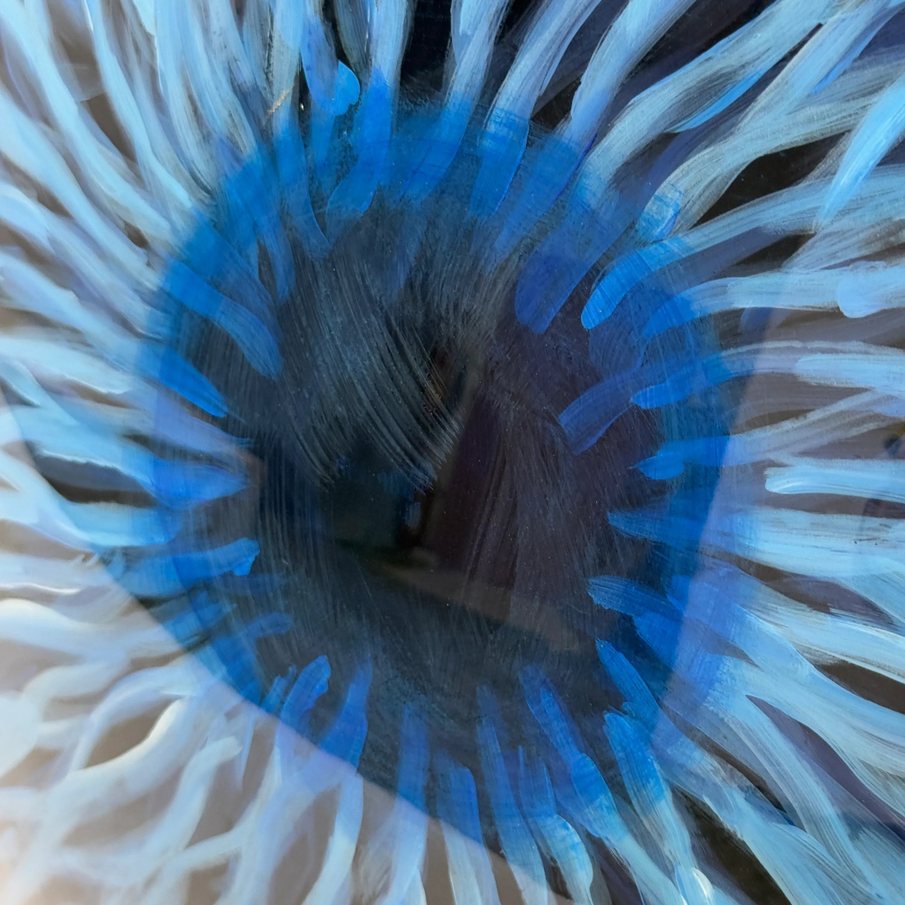 Nova Bloom